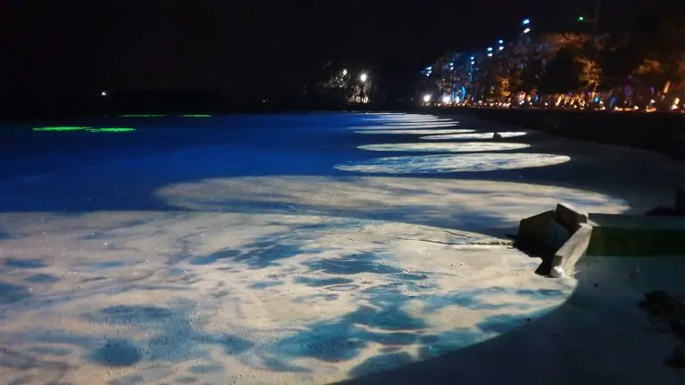 모래사장 위 빛의 패턴